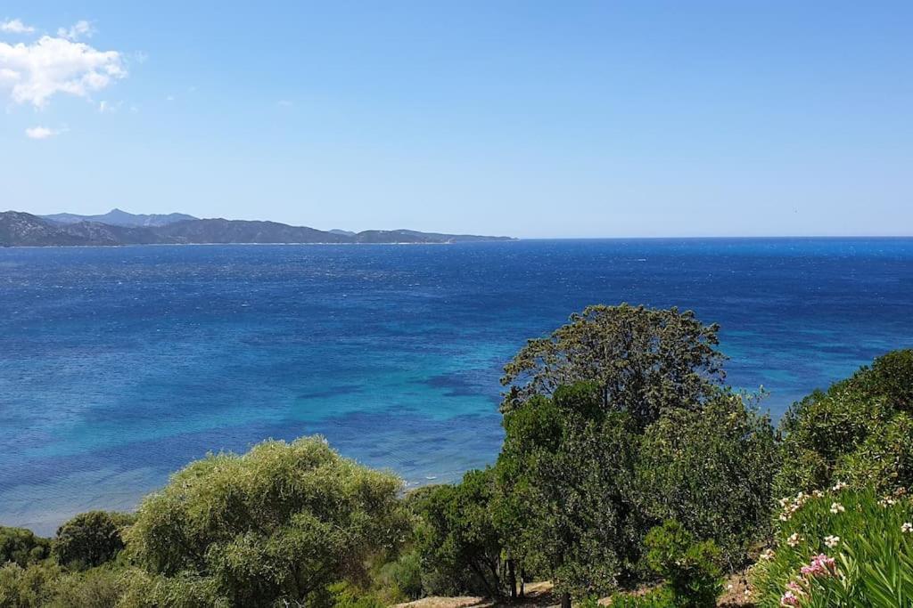 Appartamento Casa Marine Du Soleil 60 Patrimonio Esterno foto